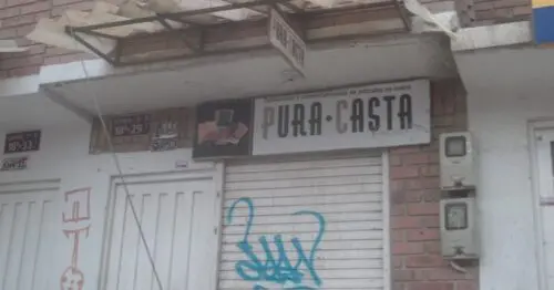 PURA CASTA PURA CASTA